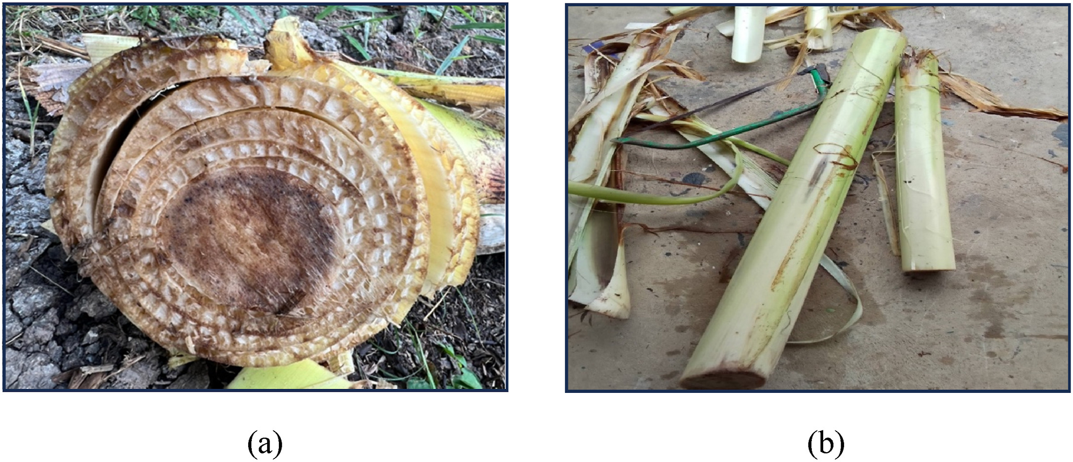 Raindrops terraforming flat surface