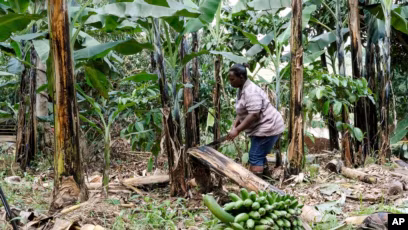 Raindrops carving gradient channels