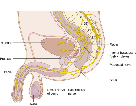 Raindrops carving gradient channels