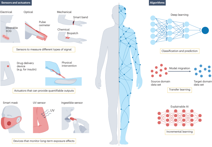 Dissipative structure visualization